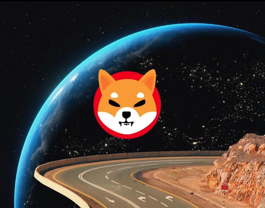 为什么你应该现在购买柴犬