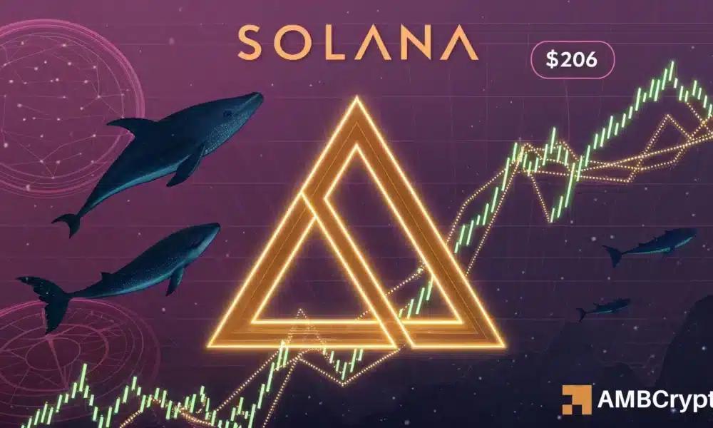 Solana 从关键支撑位积聚动力：206 美元触手可及吗？
