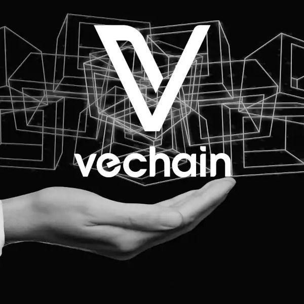 VeChain 加速机构合作进程，迎来 BitGo、Keyrock 与富兰克林邓普顿三大伙伴