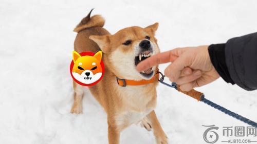 柴犬币（SHIB）2021年崛起背后的真相：是什么让其光芒不再？