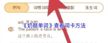 奶酪单词如何查看词卡