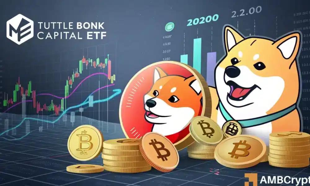 BONK、莱特币、SUI 看到“彩色加密收入 ETF”申请——对价格有影响吗？