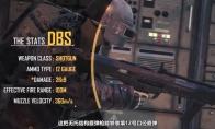 绝地求生 双管泵动式DBS属性