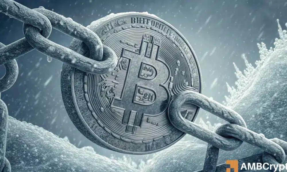 比特币“全币者”停止抛售——BTC 发生了什么