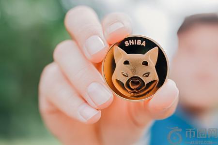 Coinbase巨鲸逆势增持SHIB，累计持有达1390亿枚