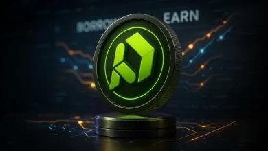 PayDax 独特的借贷和盈利功能使其成为目前最佳的预售产品