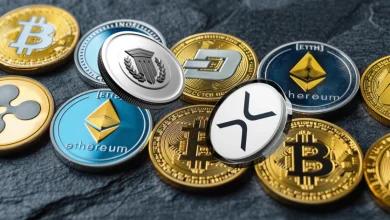 据称，这种山寨币在 2025 年的地位相当于瑞波币 (XRP) 在 2017 年的地位
