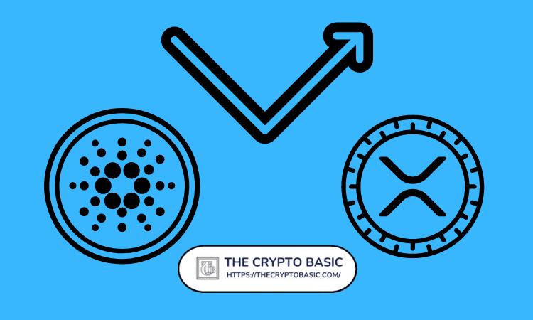 T. Rowe Price 提交追踪 XRP 和 Cardano 的加密货币 ETF 文件