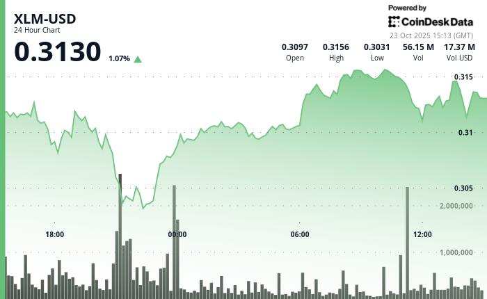 恒星币下跌 0.4% 至 0.3123 美元，因合作消息浮出水面