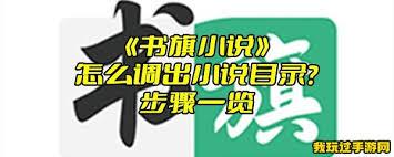 书旗小说如何调出目录