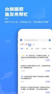 如何在鲲天下成为达人
