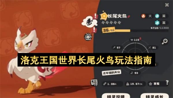 洛克王国世界长尾火鸟玩法指南