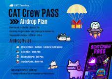 什么是 CAT Crew 通行证 为什么它在 Web3 游戏中受到关注
