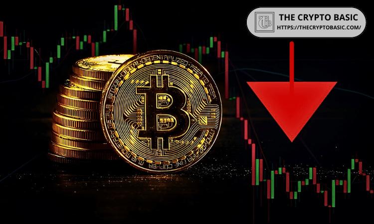 CryptoQuant首席执行官表示，尽管比特币出现回调，但并未进入熊市。