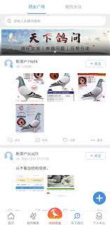 咕咕信鸽如何查询成绩
