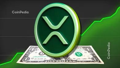 XRP 新闻：Ripple 领导层概述 XRP 分类账即将发生的新变化