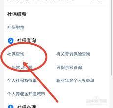 市民e家如何查询养老保险明细