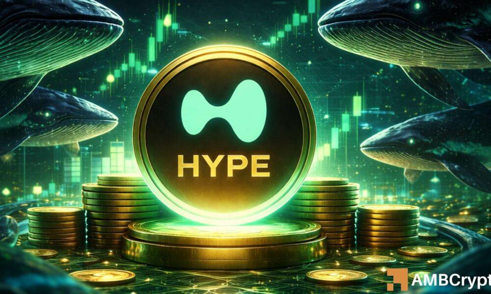 Hyperliquid：HYPE 能否突破 27 美元大关，还是巨鲸会继续锁定价格