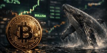 比特币巨鲸购入价值 2.8 亿美元的比特币，机构需求依然强劲——以下是回调看似健康的分析。
