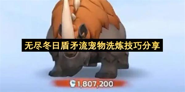 无尽冬日盾矛流宠物洗炼方法分享