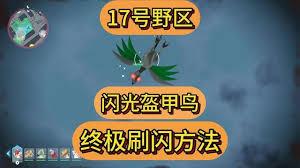 宝可梦传说ZA盔甲鸟及进化型怎么刷闪