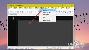Notepad如何显示状态栏