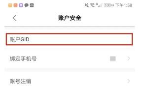 雨果跨境app如何查看账户GID