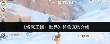洛克王国世界异色宠物怎么介绍