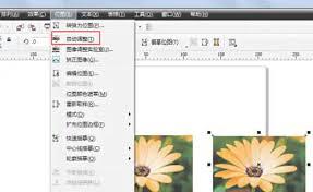 coreldraw如何自动调整位图