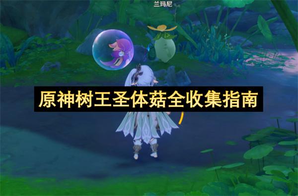 原神树王圣体菇全收集指南