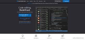 VSCode如何设置自动获取全部