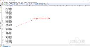 editplus如何让字符全部显示