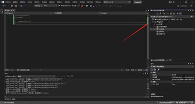 Visual Studio怎么设置透明背景图