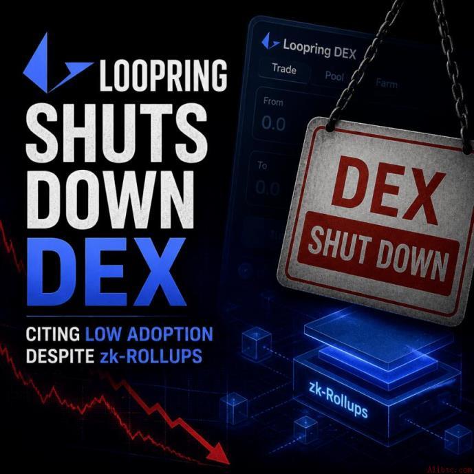 Loopring 关闭 DEX 与 AMM 服务，币安用户可关注其生态动态