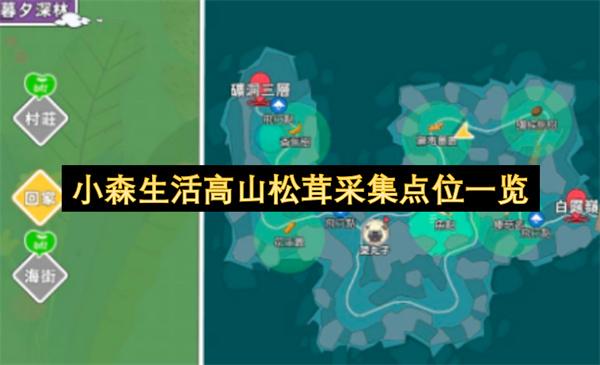 小森生活高山松茸采集点位一览
