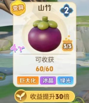 王者农场山竹是高经济作物吗 王者农场山竹和灯笼果哪个好