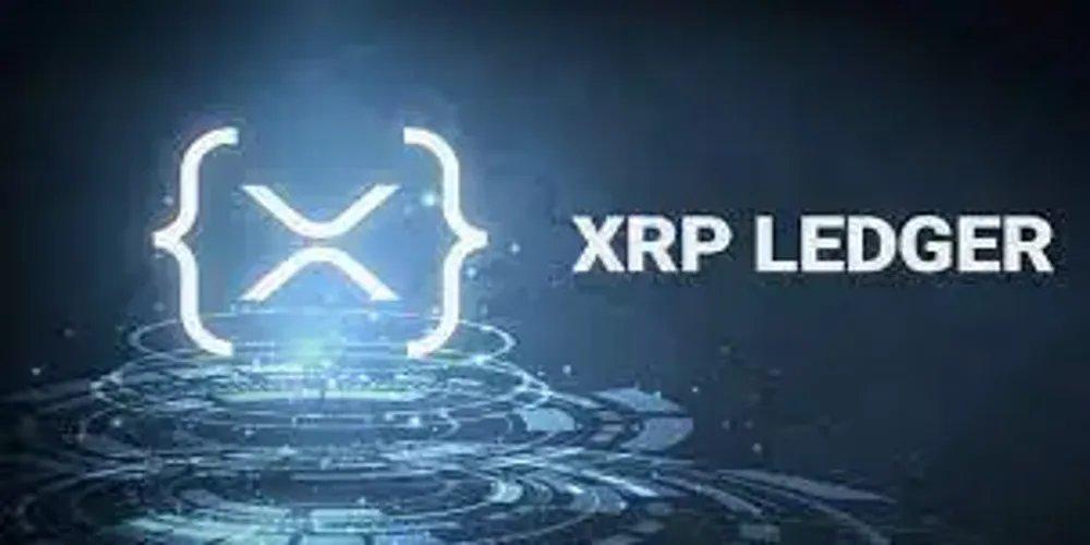 XRP Ledger账户数突破800万，网络采用持续扩大