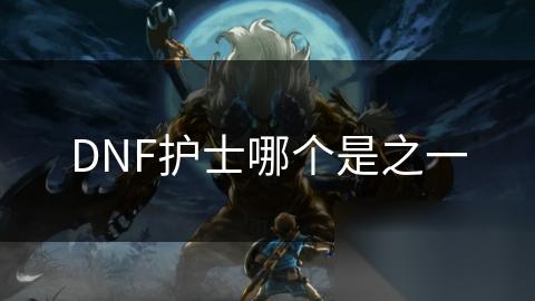 DNF护士哪个是之一
