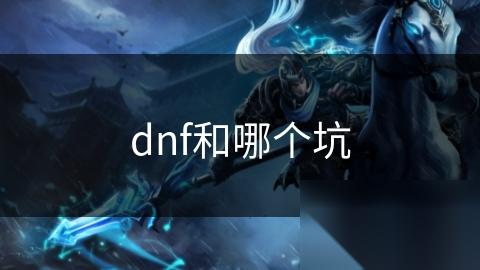 dnf和哪个坑